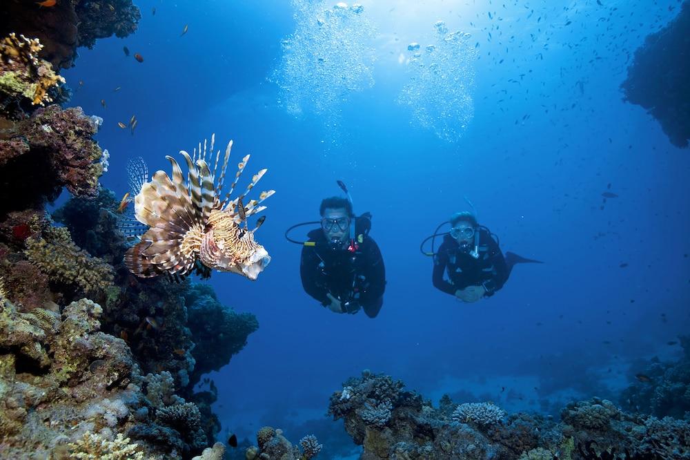 Turtle'S Inn Hotel Hurgada Dış mekan fotoğraf